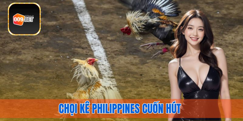 Chọi kê Philippines cuốn hút