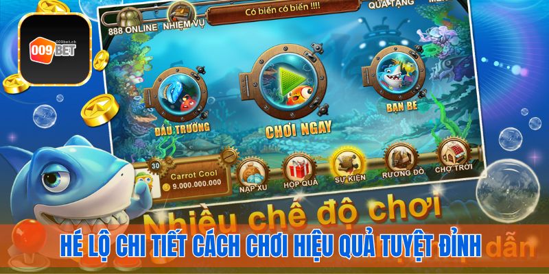 Hé lộ chi tiết cách chơi hiệu quả tuyệt đỉnh